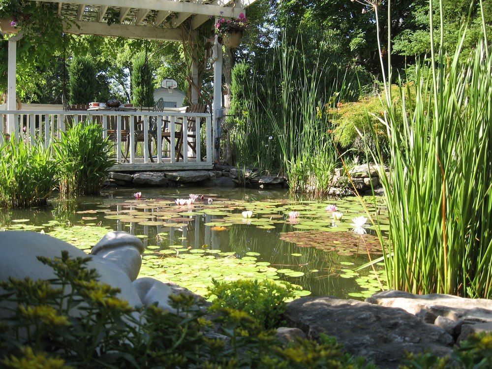 Carrousel Bed & Breakfast Cayuga エクステリア 写真
